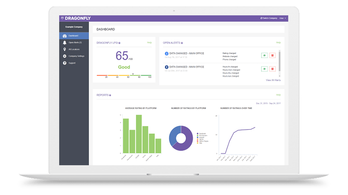 reputation management reports from dragonfly
